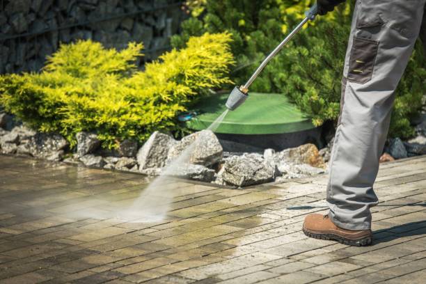 Best Solar Panel Cleaning  in Nowata, OK